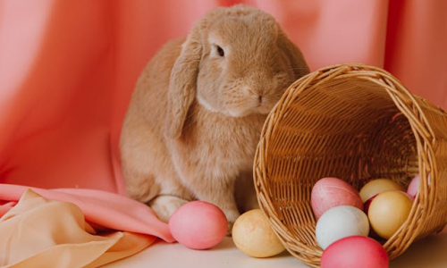 7 tipů na originální dárky k Velikonocům