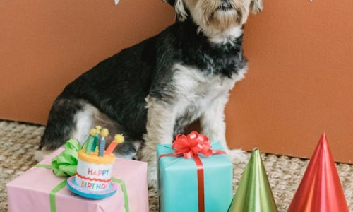 10 nejhorších narozeninových dárků