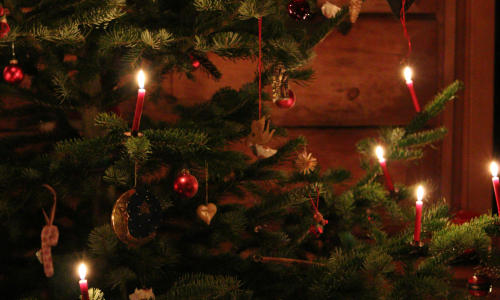 Trendy ve zdobení vánočních stromků