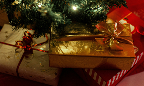 Tipy na vánoční dárky 2024