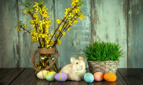 Velikonoce: Tradice, zvyky, pověry i symboly