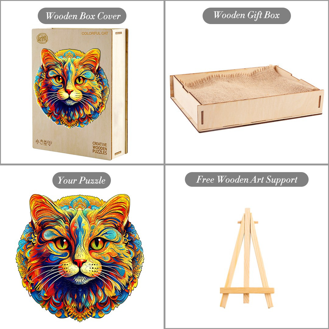 Colorful cat
