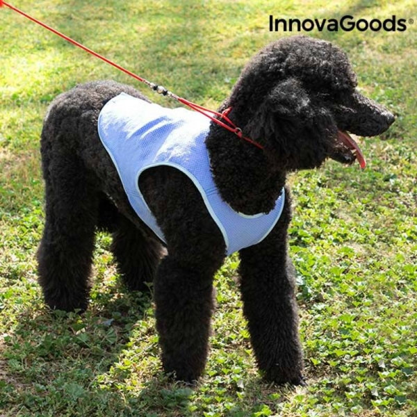 Chladivá vesta pro střední psy Innovagoods – M (V0101123)