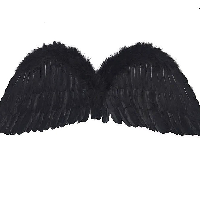 Černá křídla