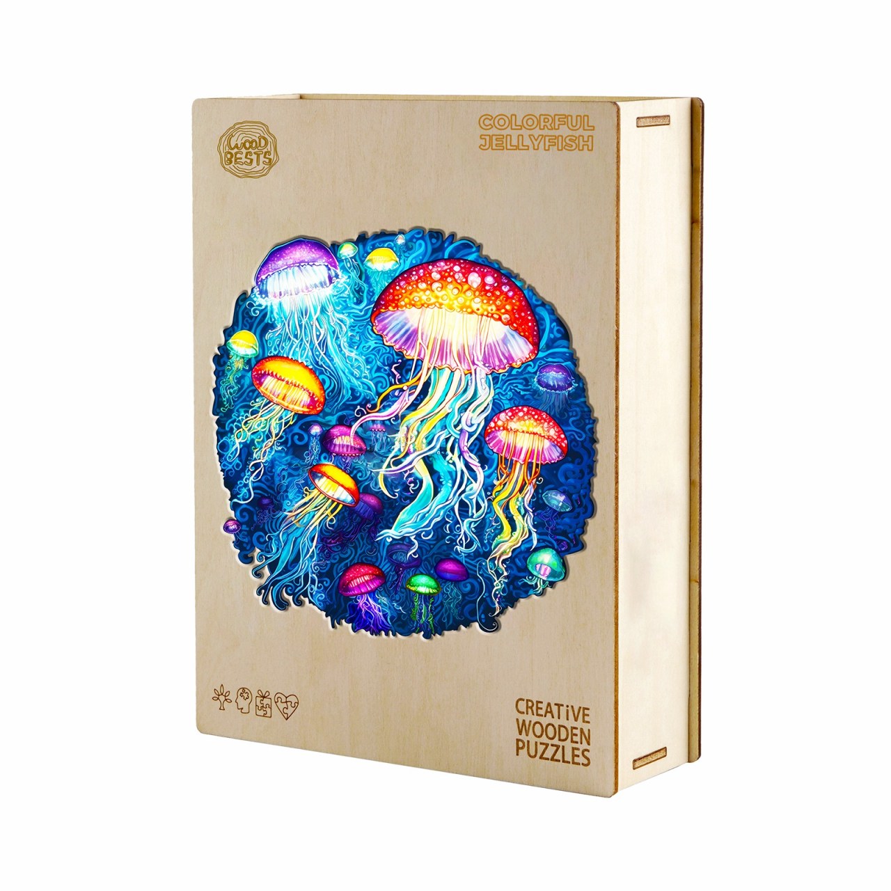 Colorful Jellyfish