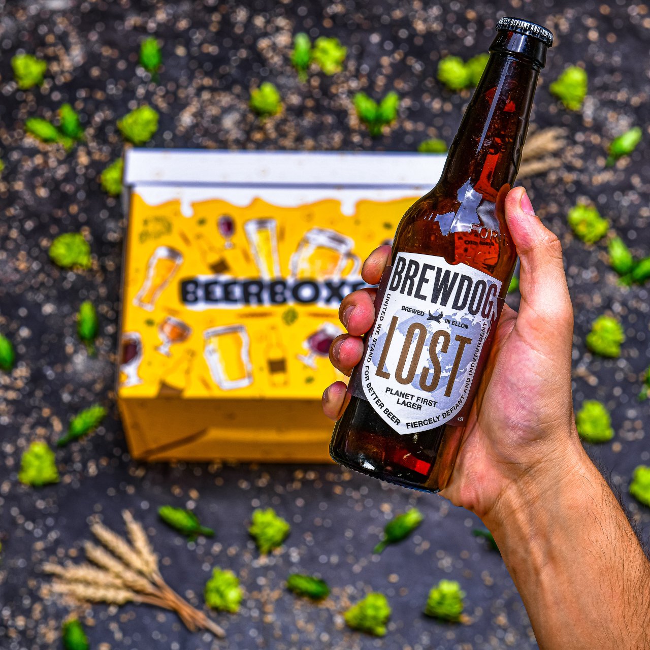 BeerBOXEO plné prémiových ležáků s pivním Tričkem vol. 2