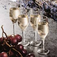 Champagne Shot Glasses (Set of 4) (1001699)