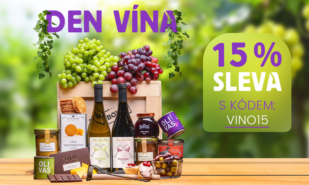 1000x600_CZ_NL_Den vna_250523.jpg