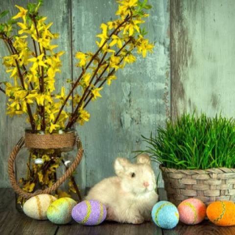 Velikonoce: Tradice, zvyky, pověry i symboly